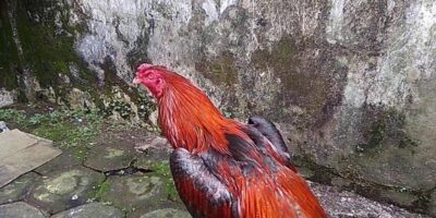 Kinh nghiệm được đúc kết